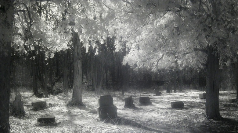 bachelor's grove cemetery infrared photo