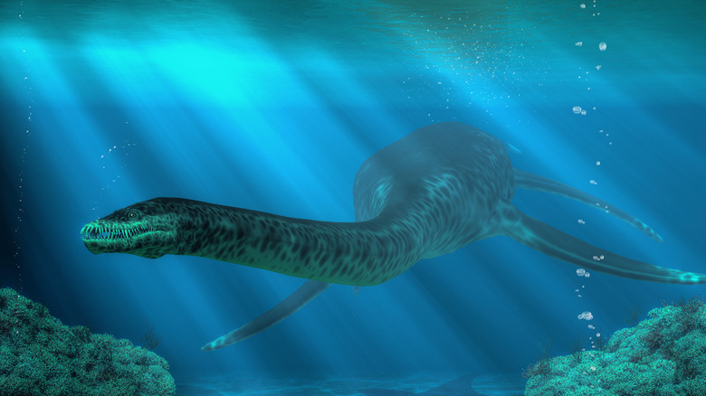 Artist's impression of a plesiosaur swimming in ancient seas.