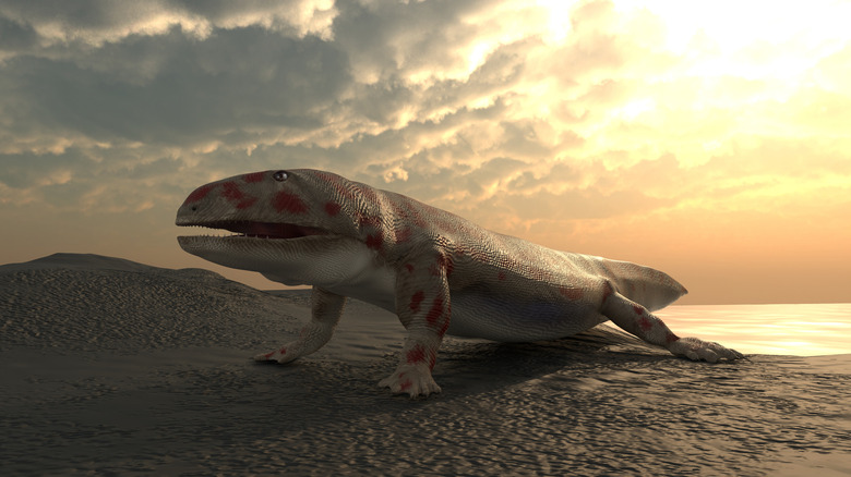 Prehistoric amphibian climbing onto land.