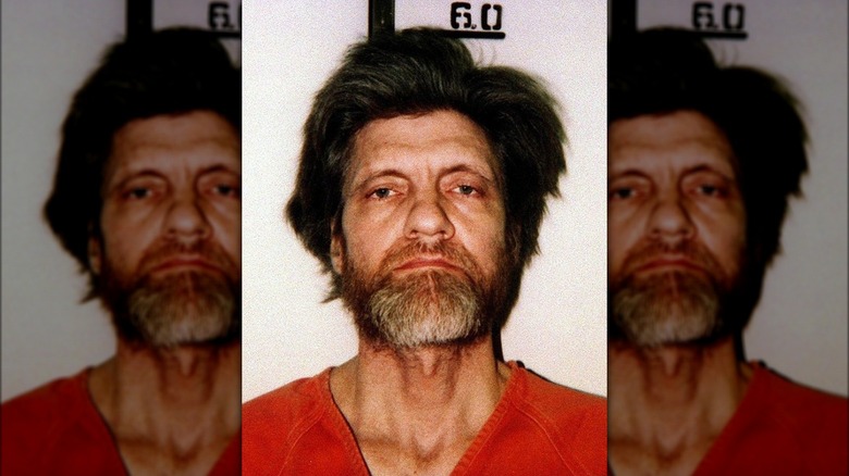 the unabomber ted kaczynski