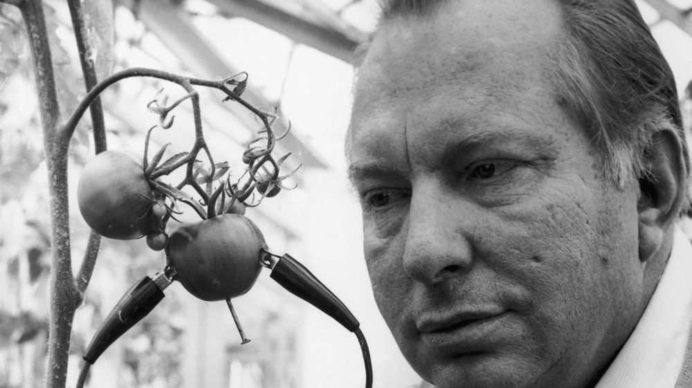 L. Ron Hubbard conducts experiment