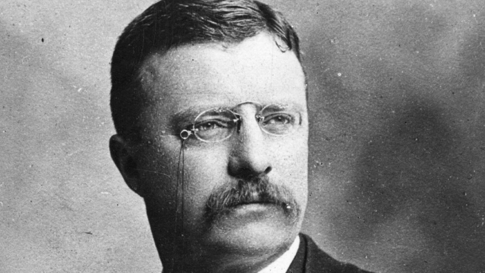 Portrait of Theodore Roosevelt