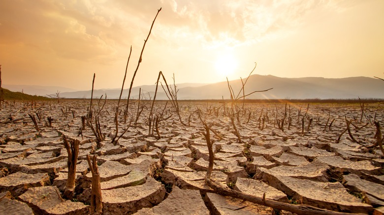 Parched and dry Earth