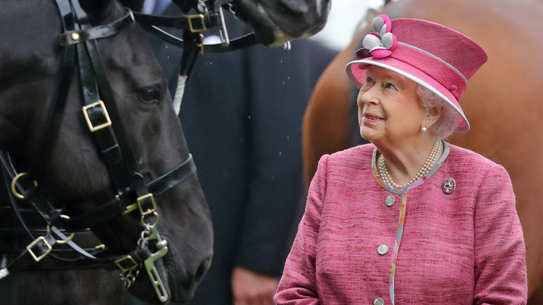 Queen Elizabeth looks at horse