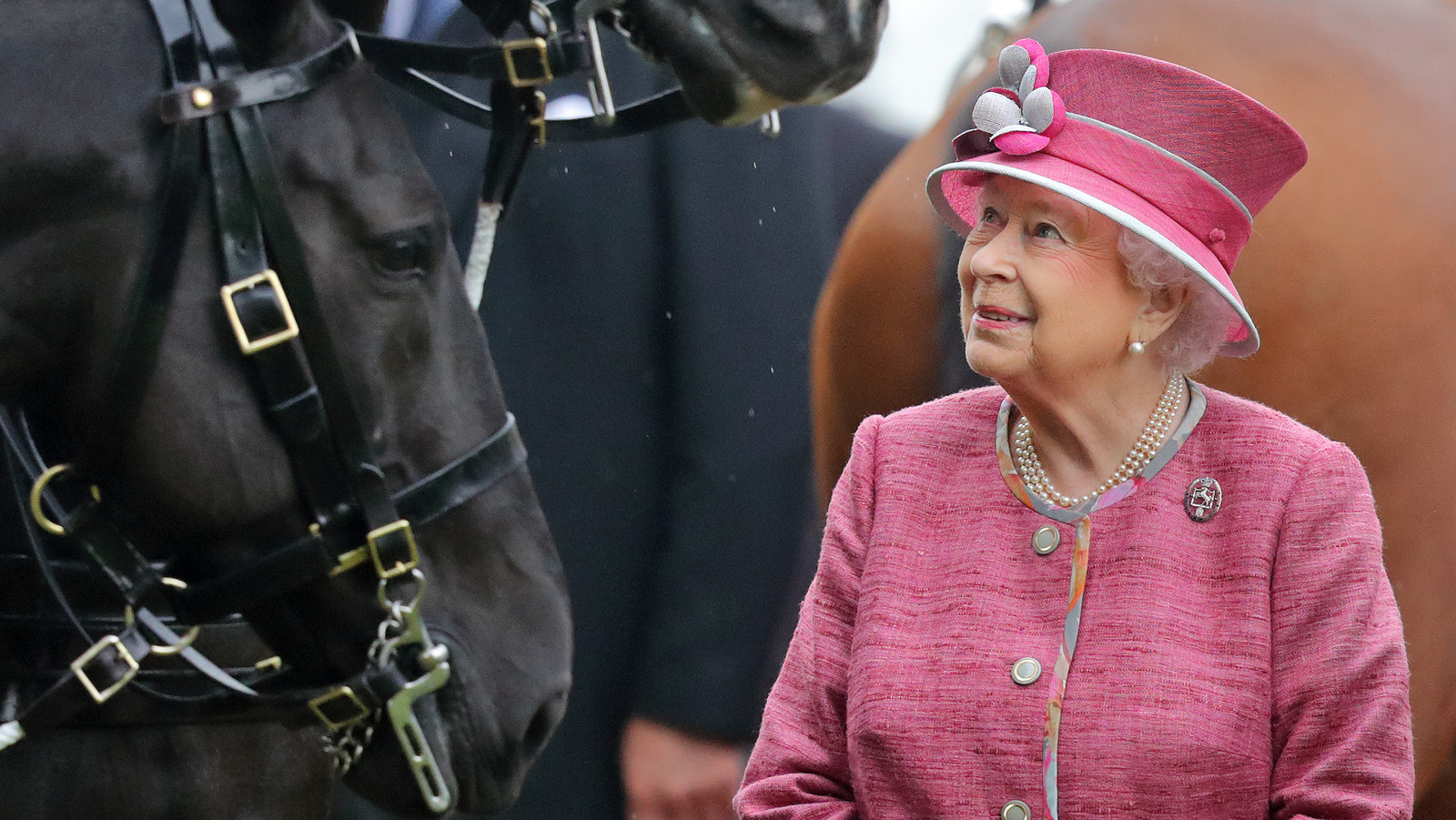 The Touching Way Queen Elizabeth's Horses Played A Part In Her Funeral
