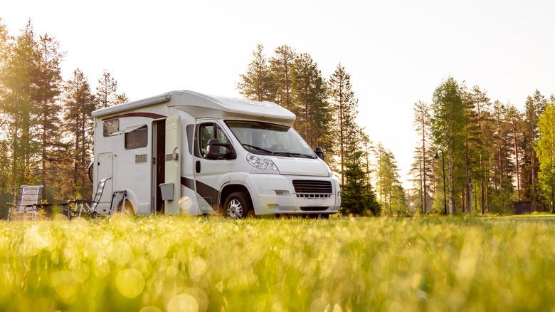 RV and trees