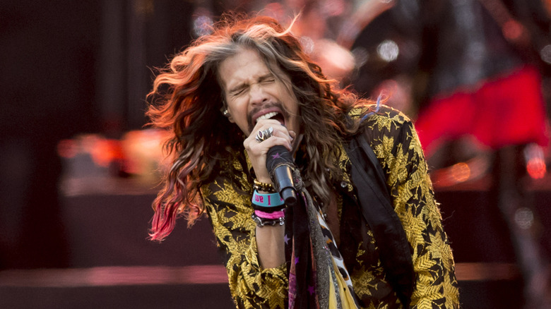 Steven Tyler singing into a microphone during Aerosmith concert
