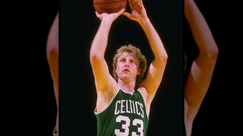 Larry Bird in 1981