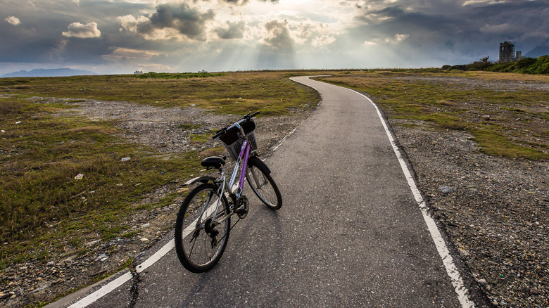 abandoned bicycle along a cycling path