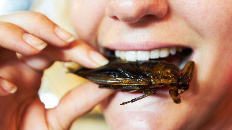 Eating a cockroach 