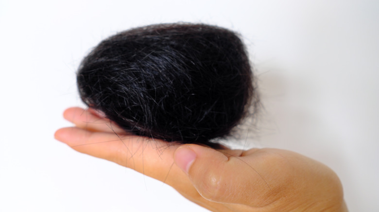 Hairball on palm of hand