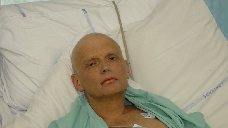 Alexander Litvinenko in 2006