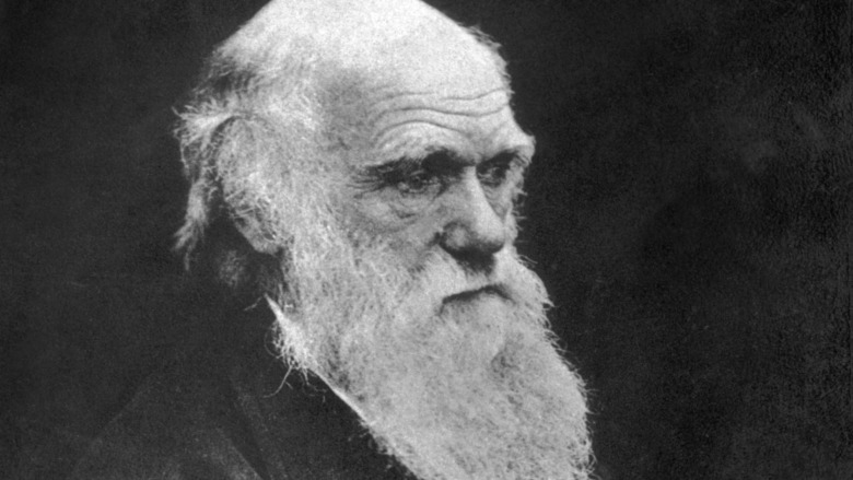 charles darwin