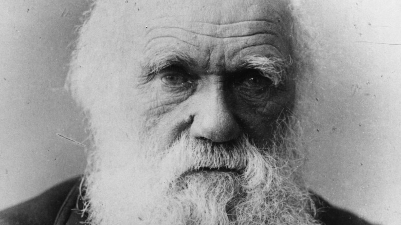 Charles Darwin