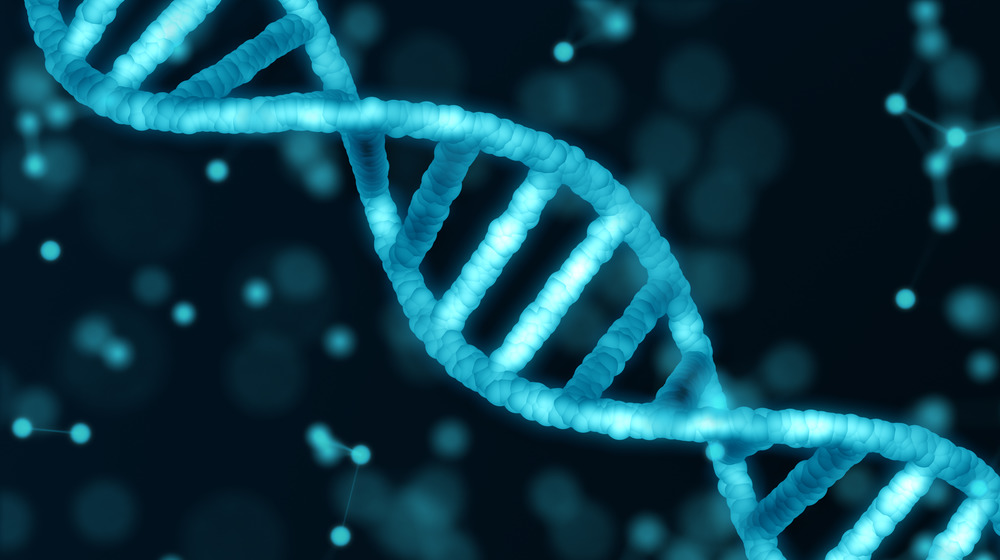 DNA double helix