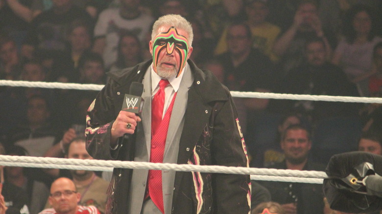 the ultimate warrior in 2014