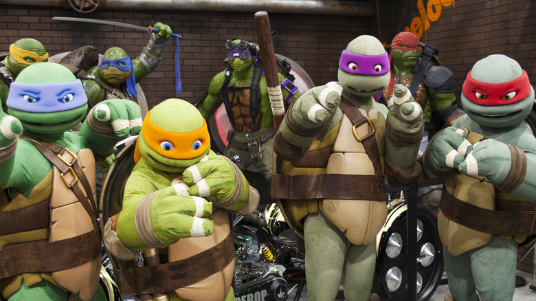 The Tragic Effect That Teenage Mutant Ninja Turtles Had On Real Turtles