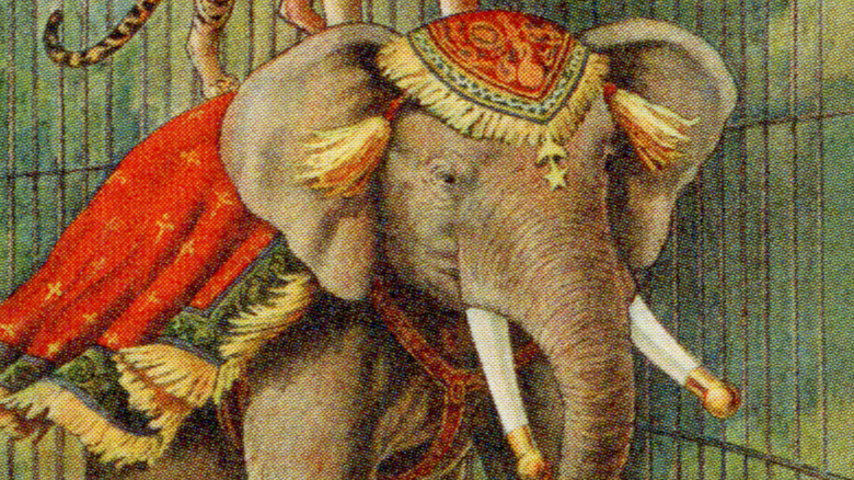 A vintage illustration of a circus elephant