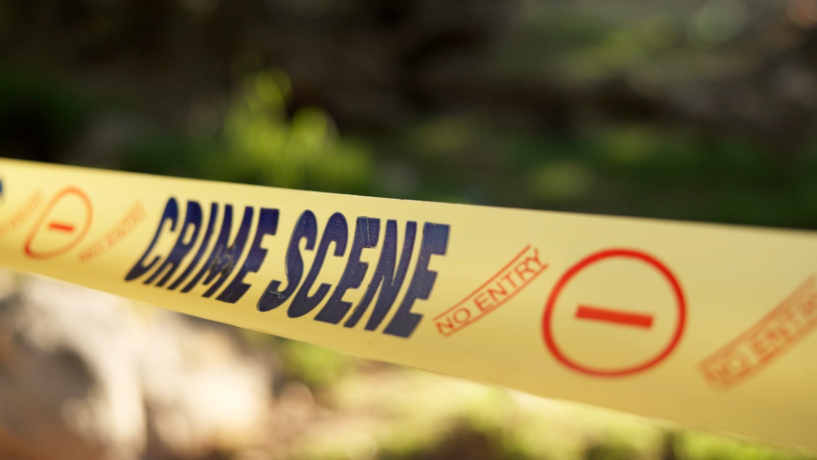The Tragic Murder Case Of Laken Riley Explained
