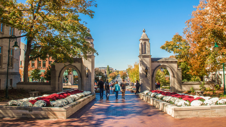 Indiana University 