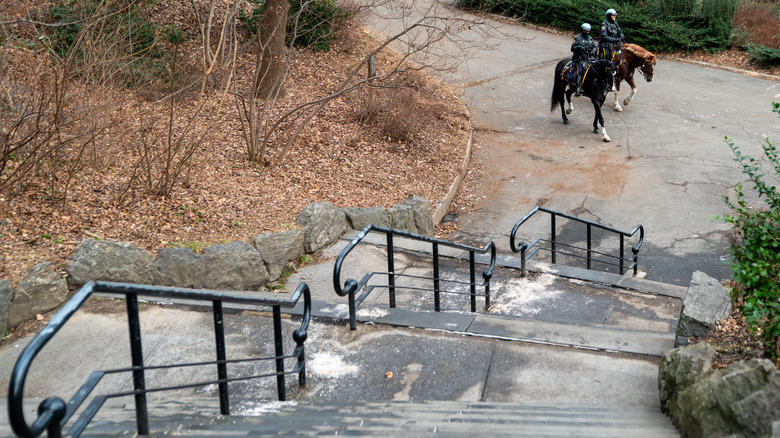 Site of Tessa Majors' death 