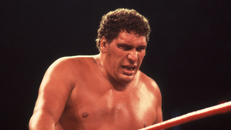 andre the giant hunched over in wrestling ring