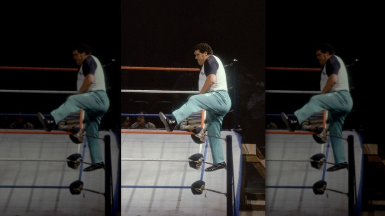 andre the giant steps into ring wearing jeans and t-shirt