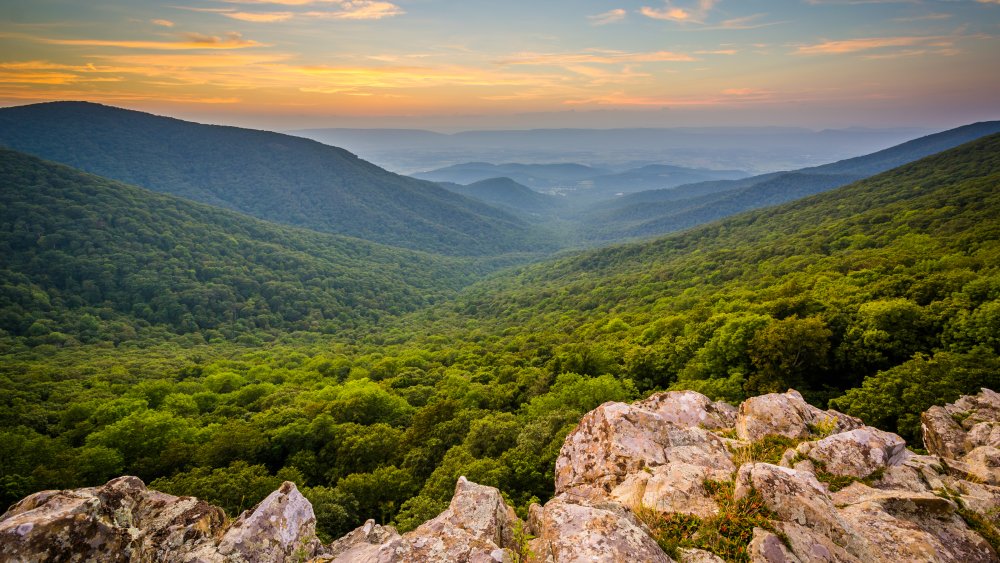 Shenandoah Valley National Park, Virginia