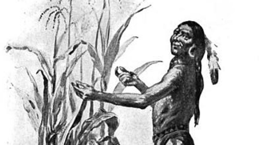 illustration of squanto with maize corn