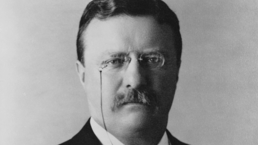 portrait of President Theodore Roosevelt