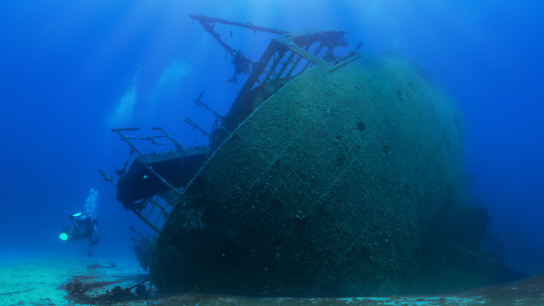 diver swimming past Shipwreck