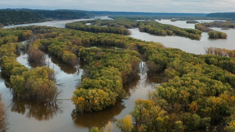 Aerial photo of Mississippi wetlands