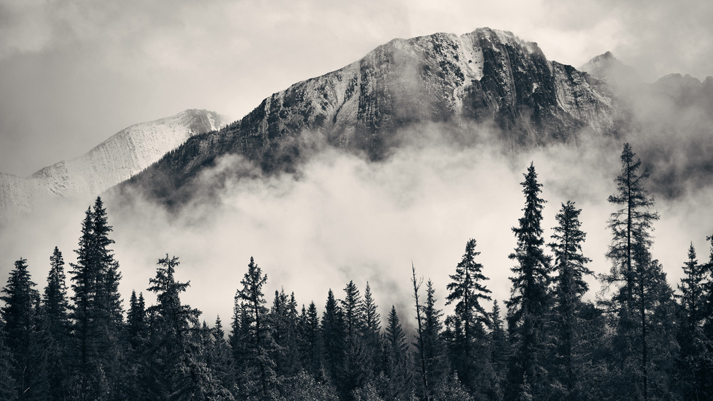Mountains and Forest with fog