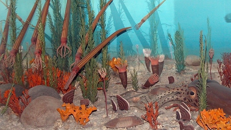 Museum diorama depicting Ordovician biodiversity