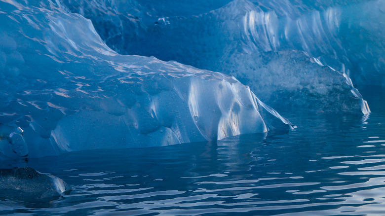 Glassy Icebergs at sunset 