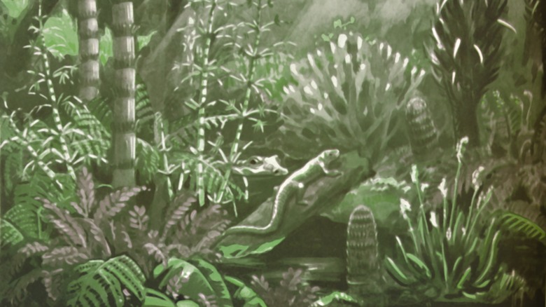 Illustration of prehistoric, green forest 