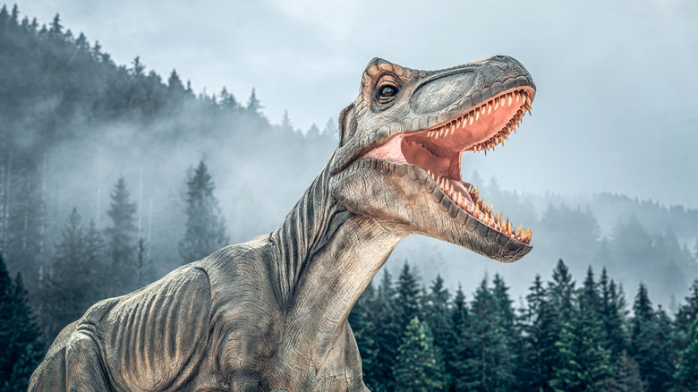 Dinosaur