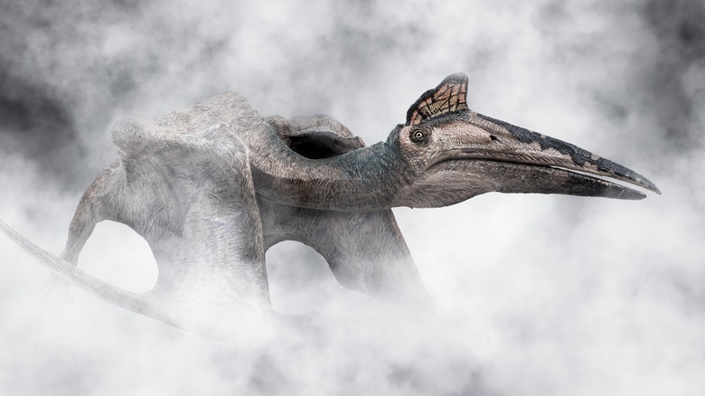 A pterosaur