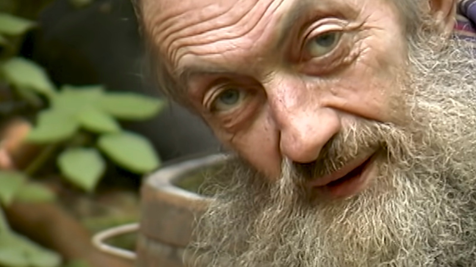 The Tragic Way Legendary Moonshiner Popcorn Sutton Died Internewscast