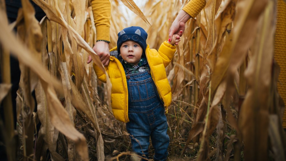 Corn Maze, Baby