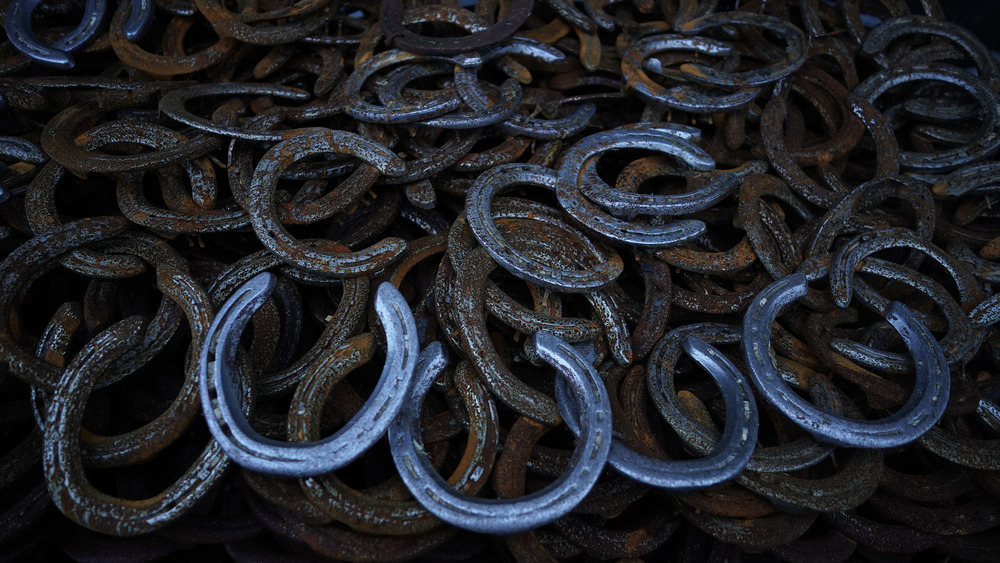 Blue and rusted horseshoes