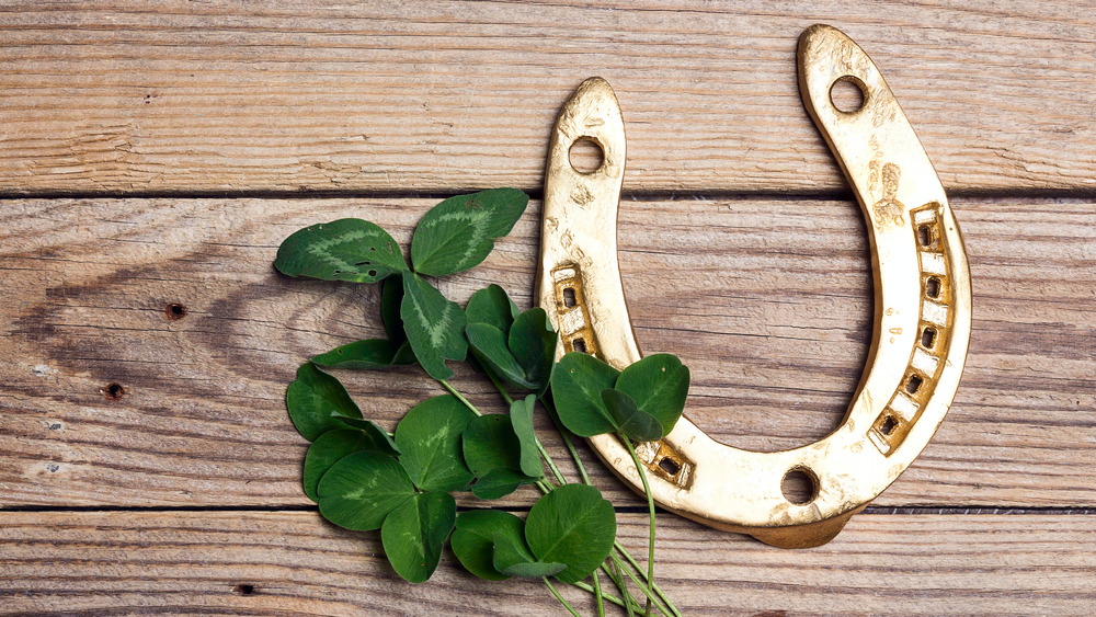 Horseshoe and clover for luck