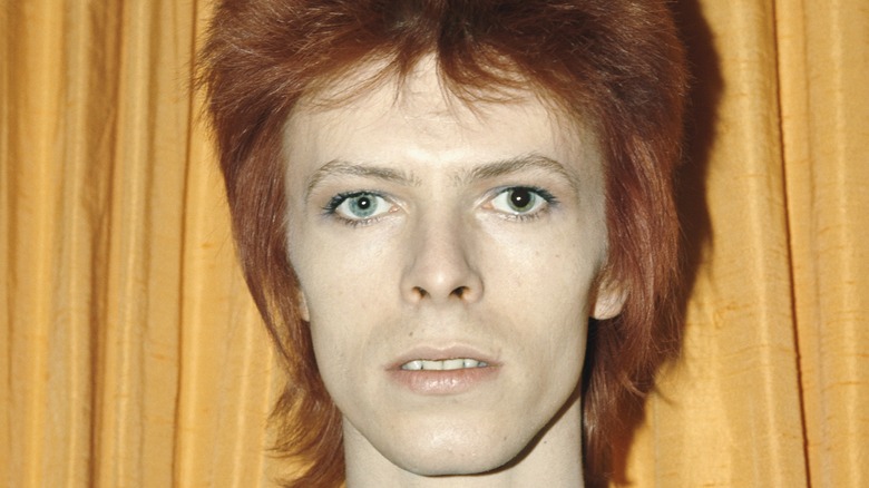 David Bowie posing