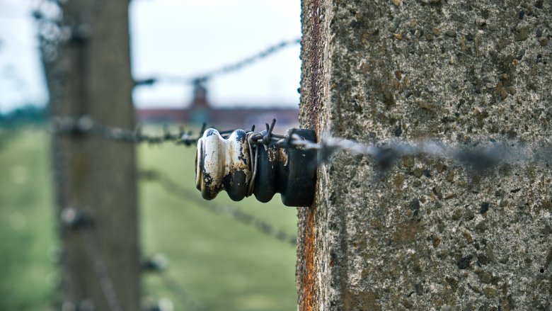 camp fence