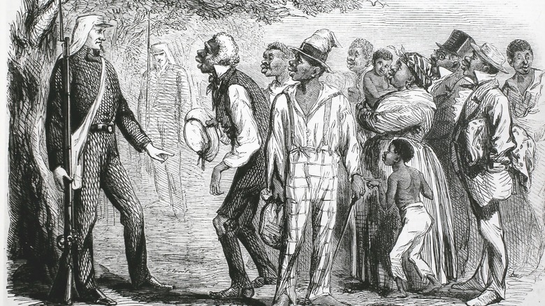 Freedom seekers offer to join the Union Army