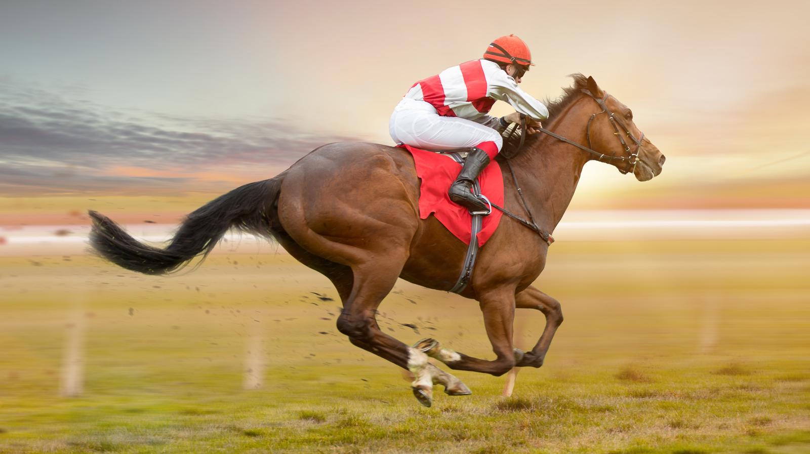 The True Story Of An American Gambler That Unlocked The Secret To