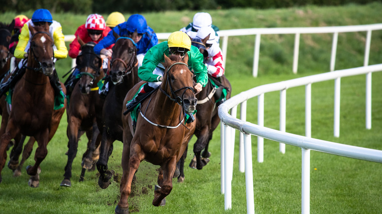 horse racing