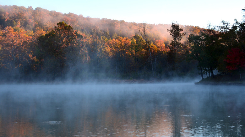 Devil's Den State Park in Arkansas