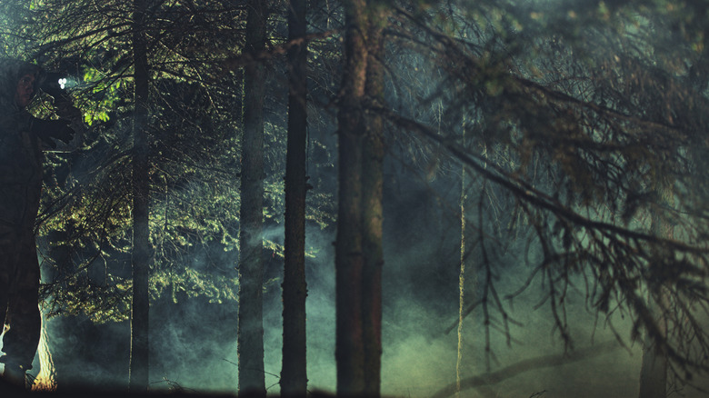 Man searching the woods at night