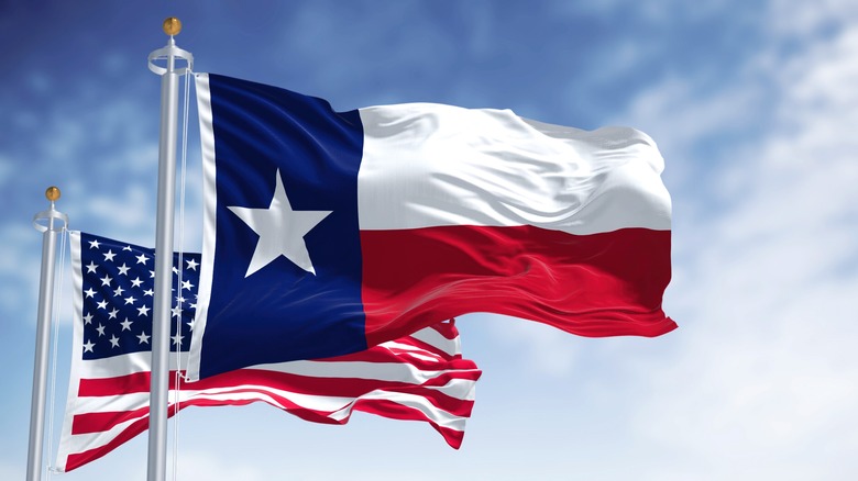 Texas and US flags